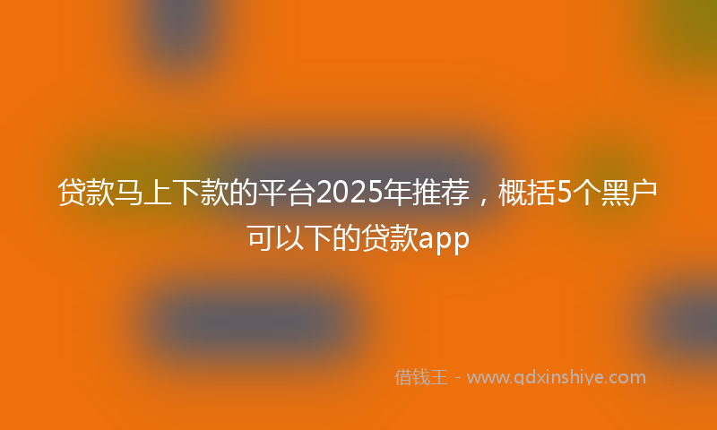 贷款马上下款的平台2025年推荐，概括5个黑户可以下的贷款app