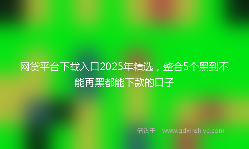 网贷平台下载入口2025年精选，整合5个黑到不能再黑都能下款的口子