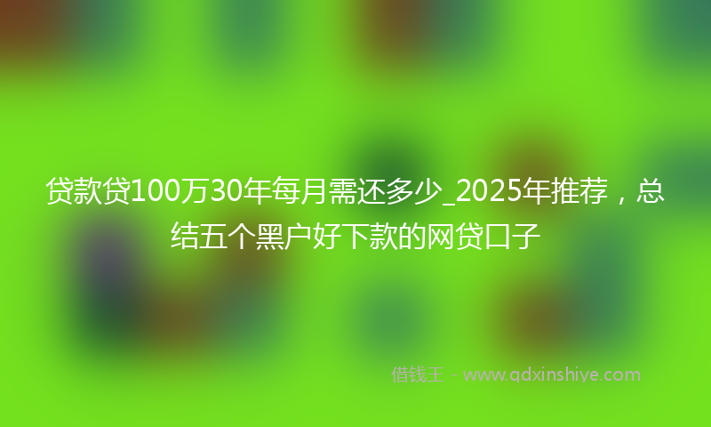 贷款贷100万30年每月需还多少_2025年推荐，总结五个黑户好下款的网贷口子