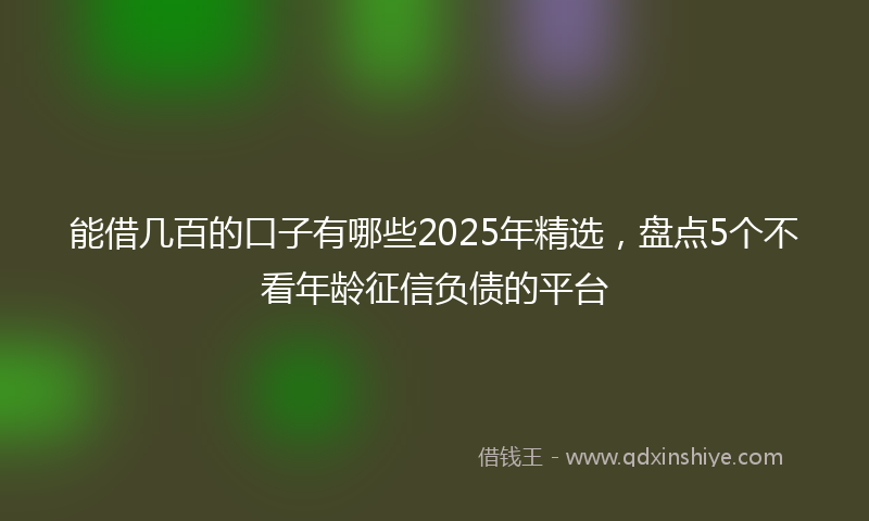 能借几百的口子有哪些2025年精选，盘点5个不看年龄征信负债的平台