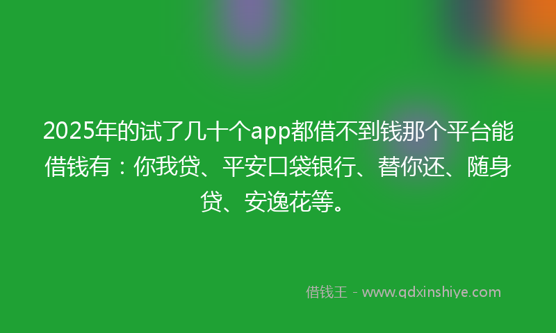 2025年的试了几十个app都借不到钱那个平台能借钱有：你我贷、平安口袋银行、替你还、随身贷、安逸花等。