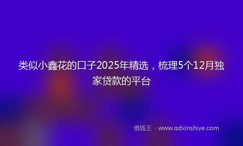 类似小鑫花的口子2025年精选，梳理5个12月独家贷款的平台