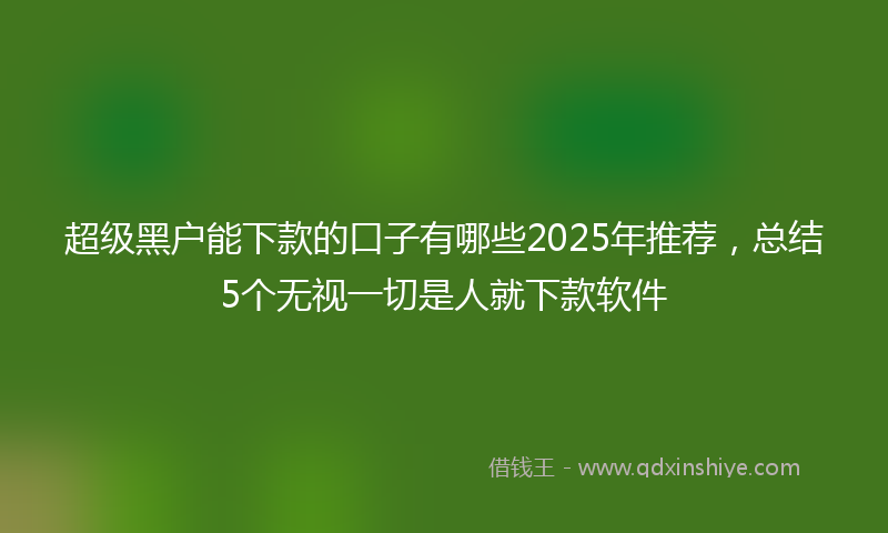 超级黑户能下款的口子有哪些2025年推荐，总结5个无视一切是人就下款软件