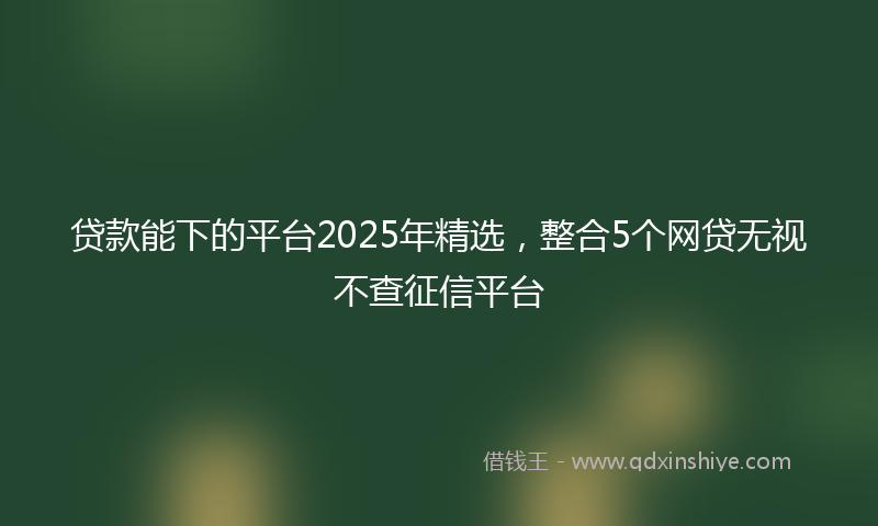 贷款能下的平台2025年精选，整合5个网贷无视不查征信平台