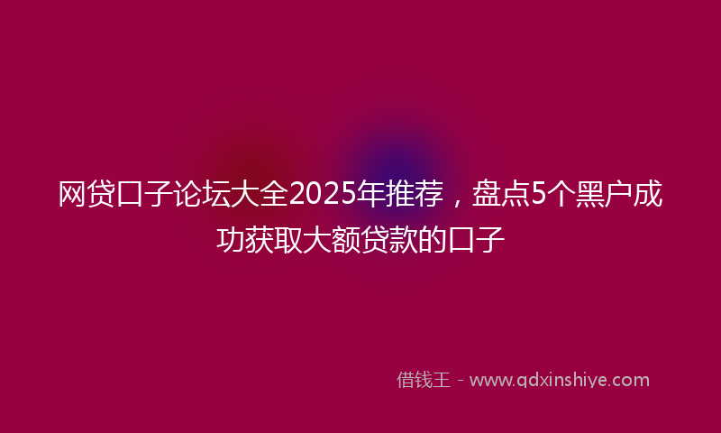网贷口子论坛大全2025年推荐，盘点5个黑户成功获取大额贷款的口子