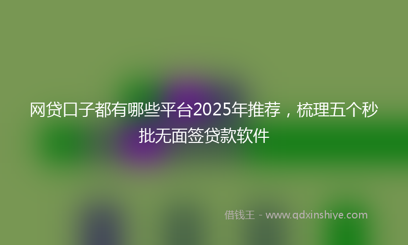 网贷口子都有哪些平台2025年推荐，梳理五个秒批无面签贷款软件