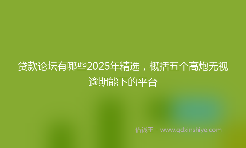 贷款论坛有哪些2025年精选，概括五个高炮无视逾期能下的平台