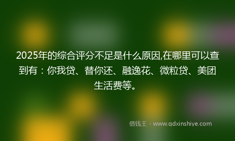 2025年的综合评分不足是什么原因,在哪里可以查到有：你我贷、替你还、融逸花、微粒贷、美团生活费等。