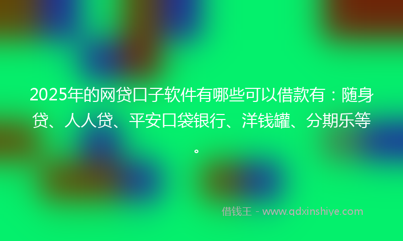 2025年的网贷口子软件有哪些可以借款有：随身贷、人人贷、平安口袋银行、洋钱罐、分期乐等。