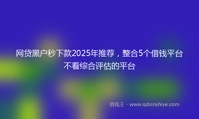网贷黑户秒下款2025年推荐，整合5个借钱平台不看综合评估的平台