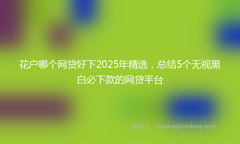 花户哪个网贷好下2025年精选，总结5个无视黑白必下款的网贷平台