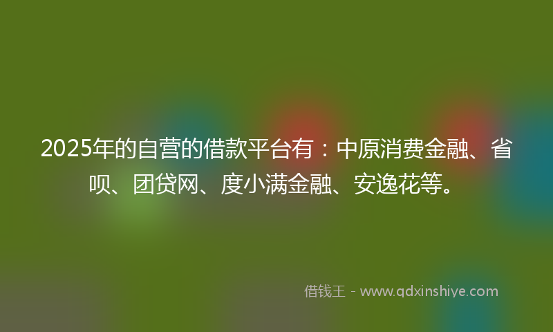 2025年的自营的借款平台有：中原消费金融、省呗、团贷网、度小满金融、安逸花等。