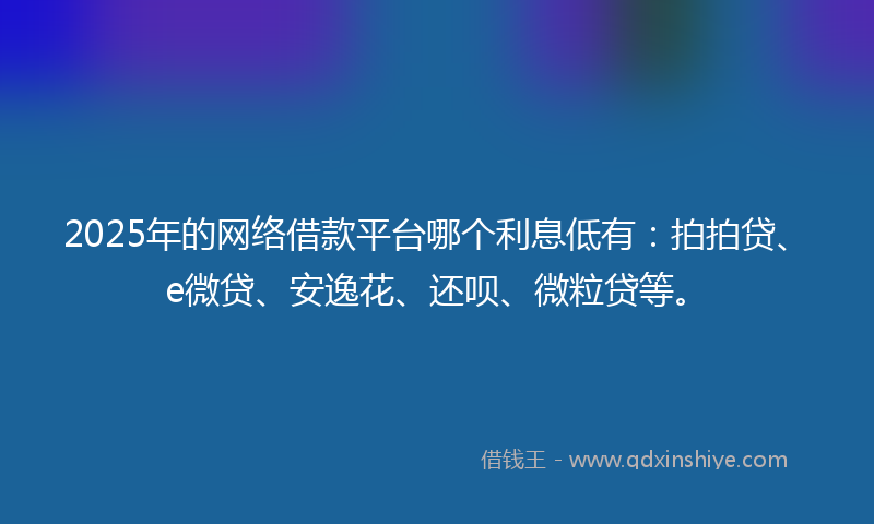 2025年的网络借款平台哪个利息低有：拍拍贷、e微贷、安逸花、还呗、微粒贷等。