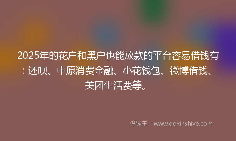 2025年的花户和黑户也能放款的平台容易借钱有：还呗、中原消费金融、小花钱包、微博借钱、美团生活费等。