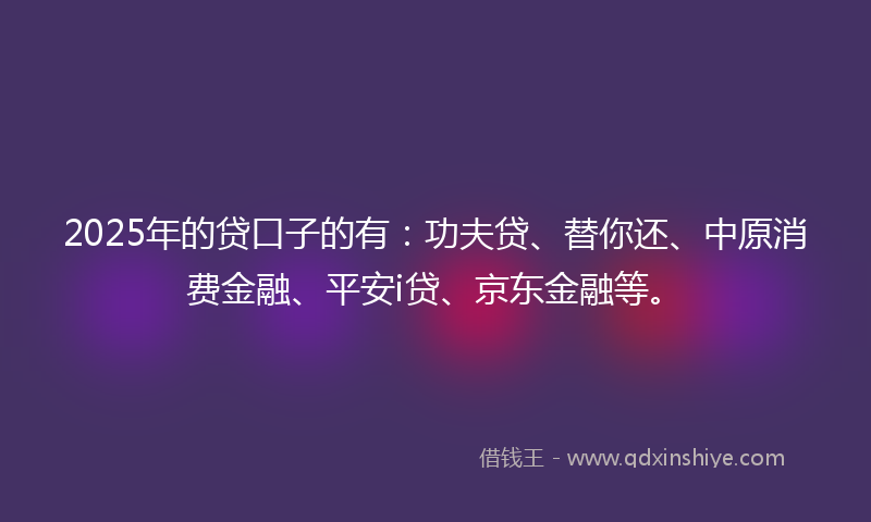 2025年的贷口子的有：功夫贷、替你还、中原消费金融、平安i贷、京东金融等。