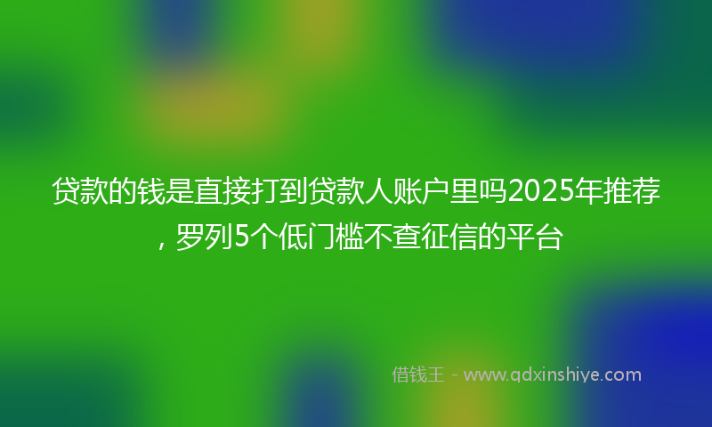 贷款的钱是直接打到贷款人账户里吗2025年推荐，罗列5个低门槛不查征信的平台