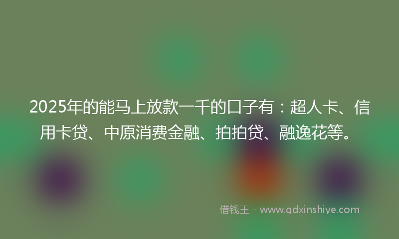 2025年的能马上放款一千的口子有：超人卡、信用卡贷、中原消费金融、拍拍贷、融逸花等。