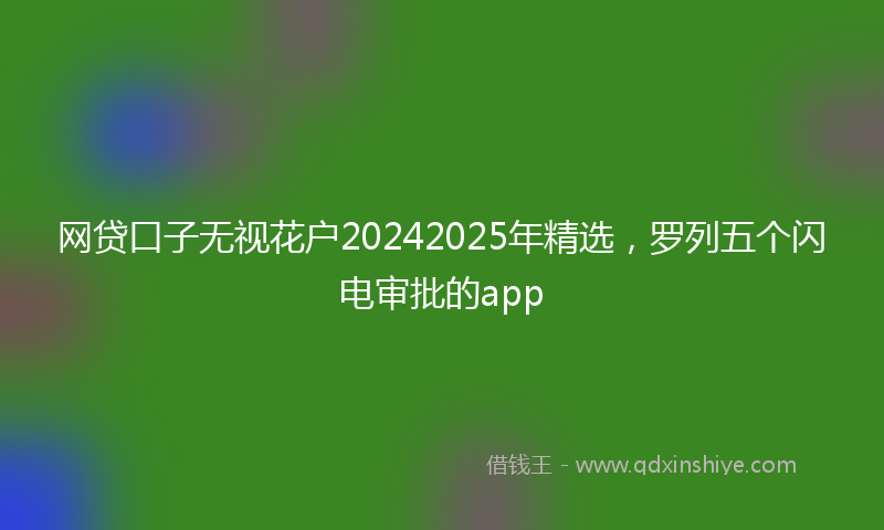 网贷口子无视花户20242025年精选，罗列五个闪电审批的app