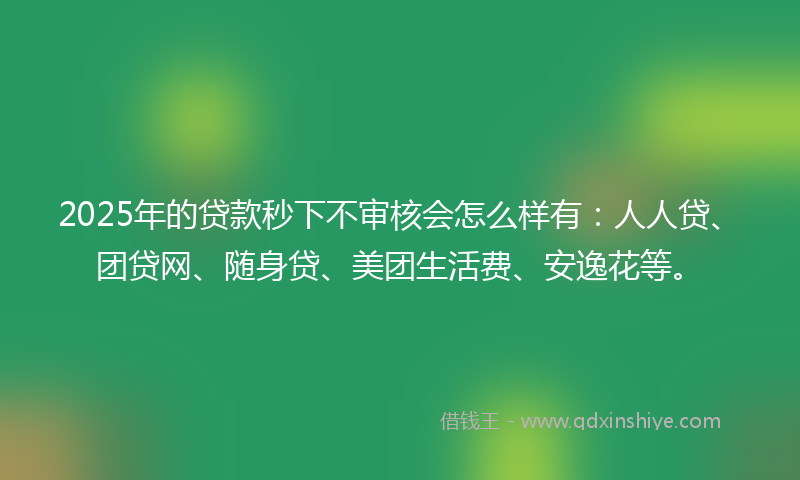 2025年的贷款秒下不审核会怎么样有：人人贷、团贷网、随身贷、美团生活费、安逸花等。