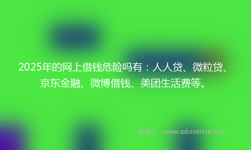 2025年的网上借钱危险吗有：人人贷、微粒贷、京东金融、微博借钱、美团生活费等。