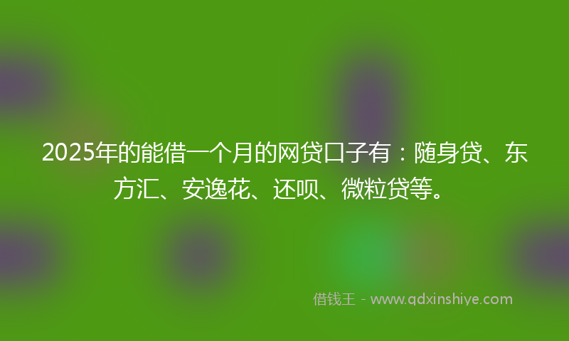 2025年的能借一个月的网贷口子有：随身贷、东方汇、安逸花、还呗、微粒贷等。