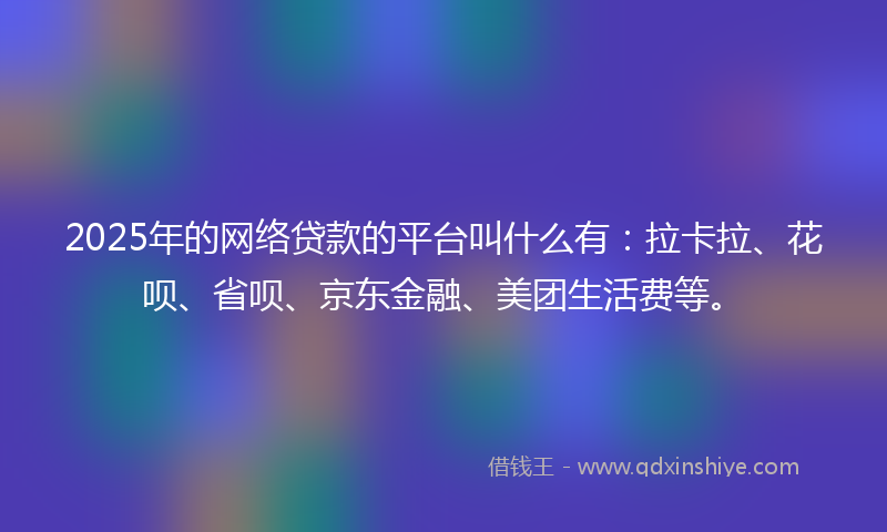 2025年的网络贷款的平台叫什么有：拉卡拉、花呗、省呗、京东金融、美团生活费等。