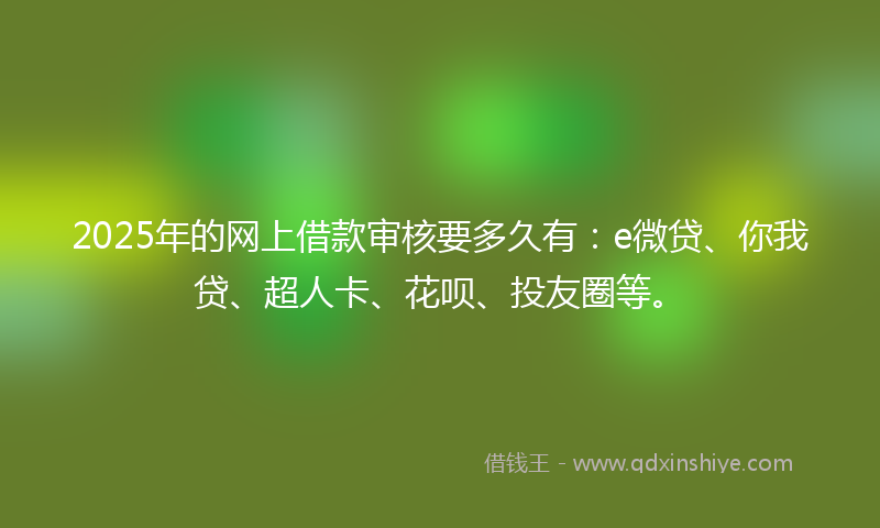 2025年的网上借款审核要多久有：e微贷、你我贷、超人卡、花呗、投友圈等。
