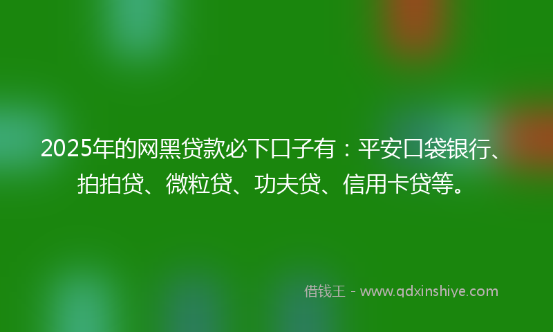 2025年的网黑贷款必下口子有：平安口袋银行、拍拍贷、微粒贷、功夫贷、信用卡贷等。