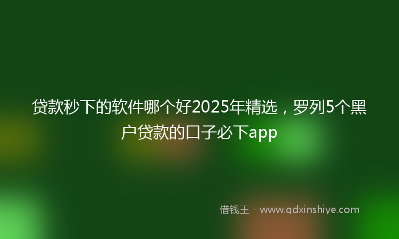 贷款秒下的软件哪个好2025年精选，罗列5个黑户贷款的口子必下app