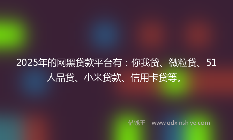 2025年的网黑贷款平台有：你我贷、微粒贷、51人品贷、小米贷款、信用卡贷等。
