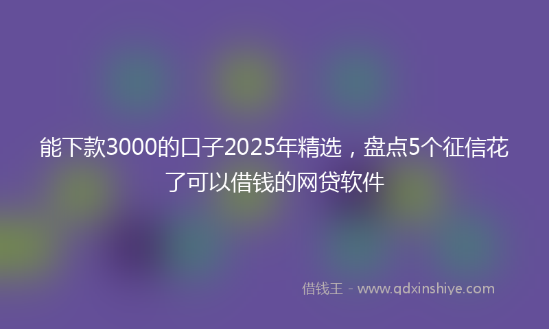 能下款3000的口子2025年精选，盘点5个征信花了可以借钱的网贷软件