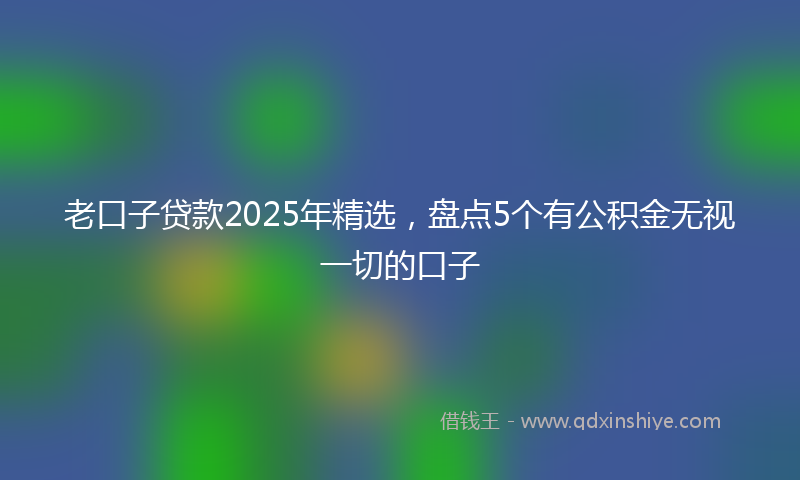 老口子贷款2025年精选，盘点5个有公积金无视一切的口子
