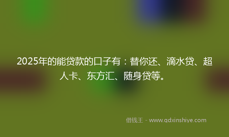 2025年的能贷款的口子有：替你还、滴水贷、超人卡、东方汇、随身贷等。