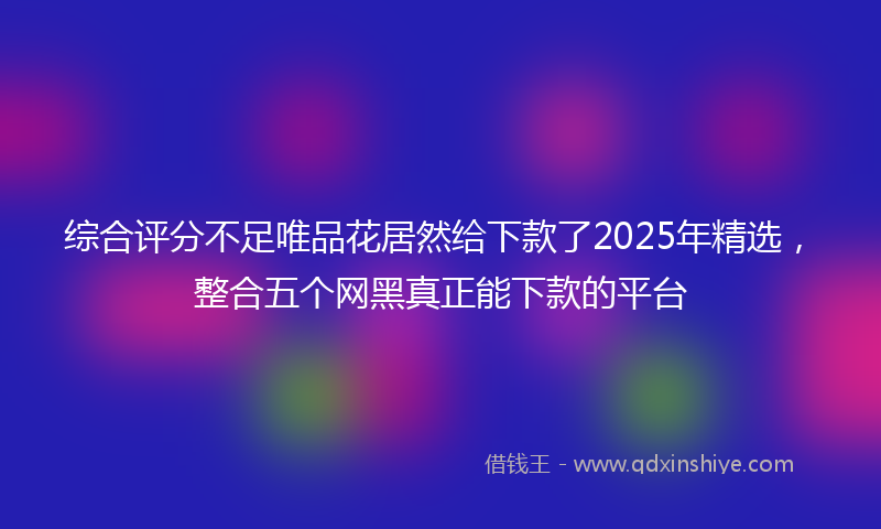 综合评分不足唯品花居然给下款了2025年精选，整合五个网黑真正能下款的平台
