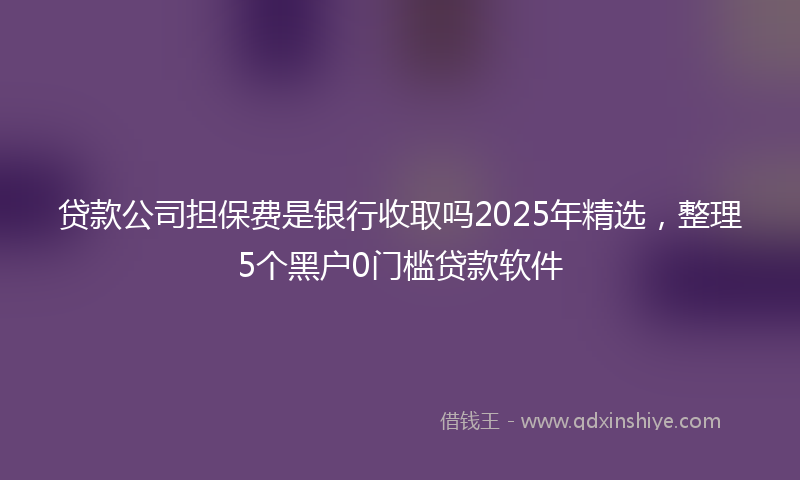 贷款公司担保费是银行收取吗2025年精选，整理5个黑户0门槛贷款软件