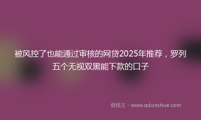 被风控了也能通过审核的网贷2025年推荐，罗列五个无视双黑能下款的口子