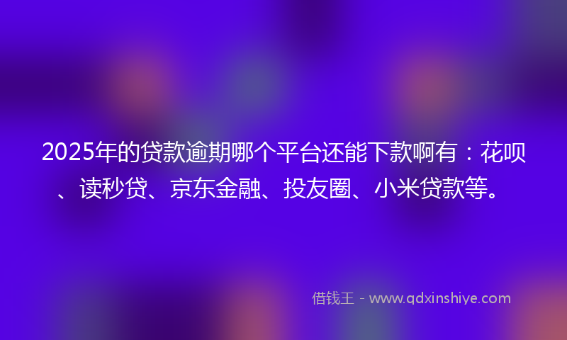 2025年的贷款逾期哪个平台还能下款啊有：花呗、读秒贷、京东金融、投友圈、小米贷款等。