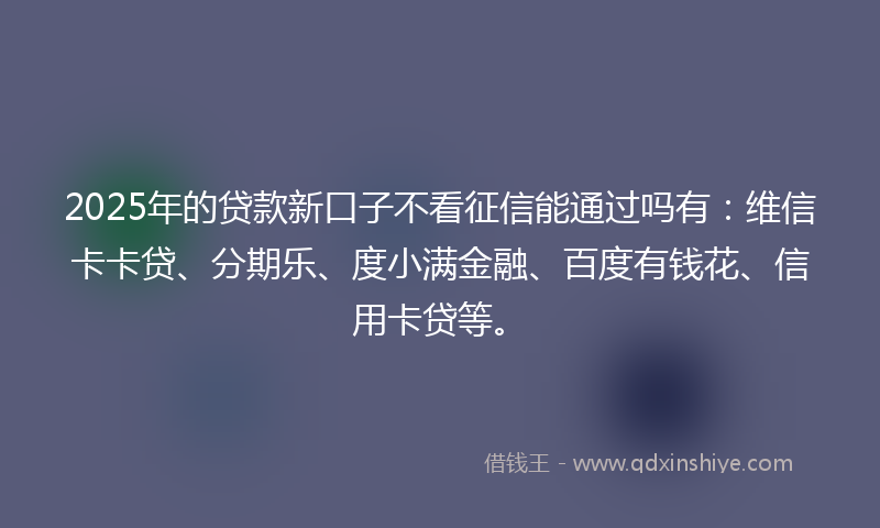 2025年的贷款新口子不看征信能通过吗有：维信卡卡贷、分期乐、度小满金融、百度有钱花、信用卡贷等。