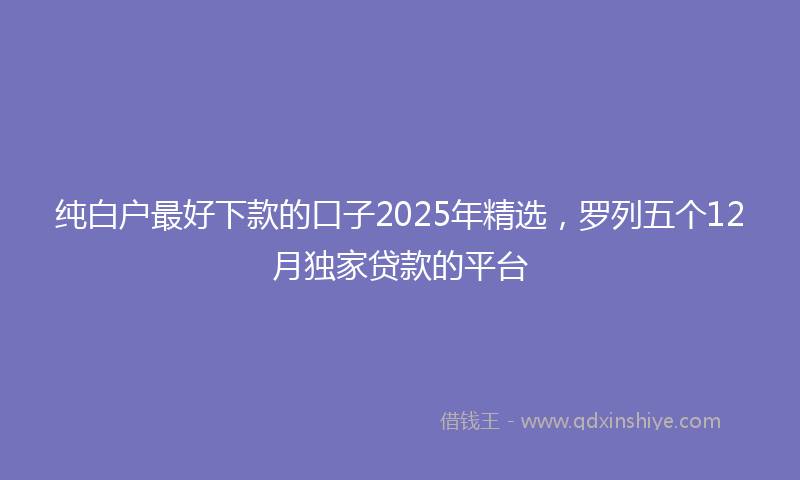 纯白户最好下款的口子2025年精选，罗列五个12月独家贷款的平台