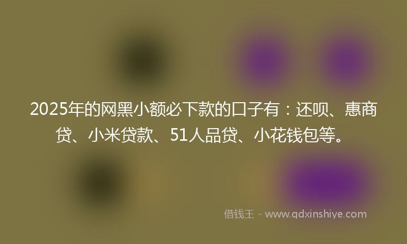 2025年的网黑小额必下款的口子有：还呗、惠商贷、小米贷款、51人品贷、小花钱包等。