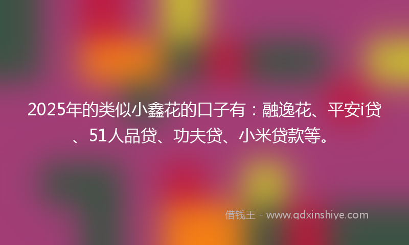 2025年的类似小鑫花的口子有：融逸花、平安i贷、51人品贷、功夫贷、小米贷款等。