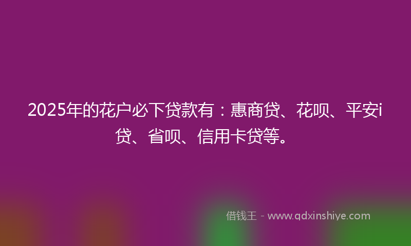 2025年的花户必下贷款有：惠商贷、花呗、平安i贷、省呗、信用卡贷等。