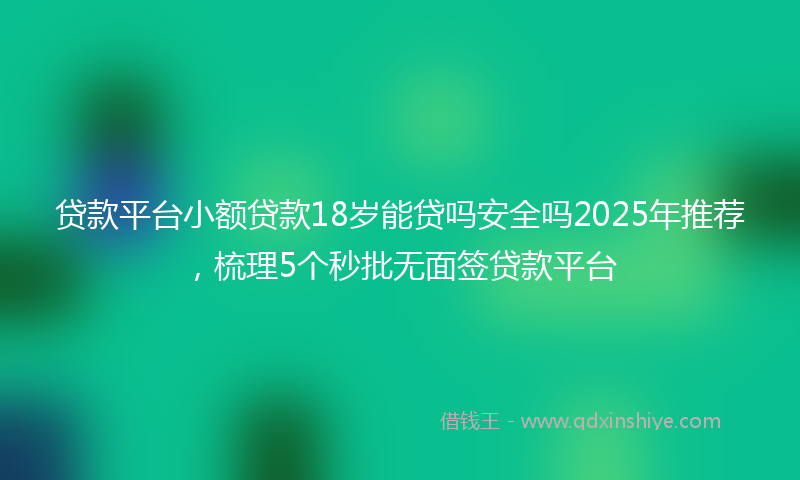 贷款平台小额贷款18岁能贷吗安全吗2025年推荐，梳理5个秒批无面签贷款平台