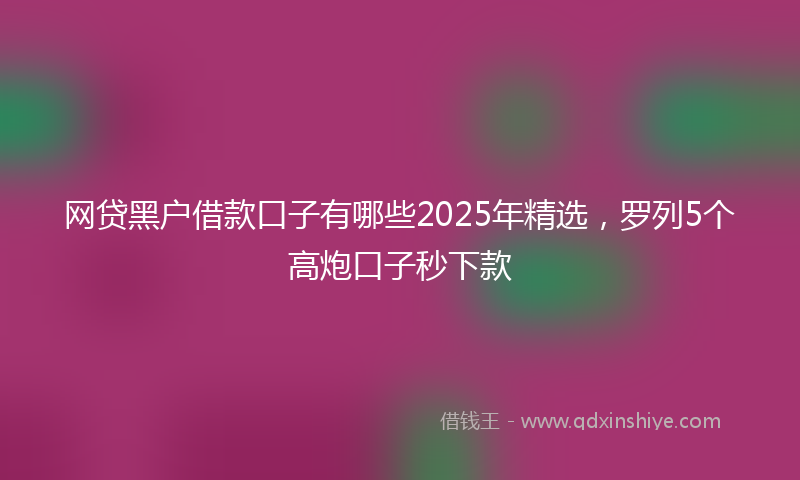 网贷黑户借款口子有哪些2025年精选，罗列5个高炮口子秒下款