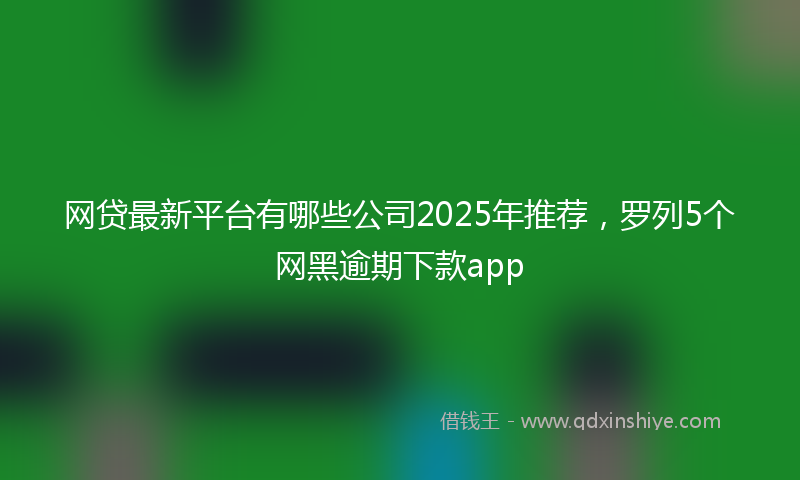 网贷最新平台有哪些公司2025年推荐，罗列5个网黑逾期下款app