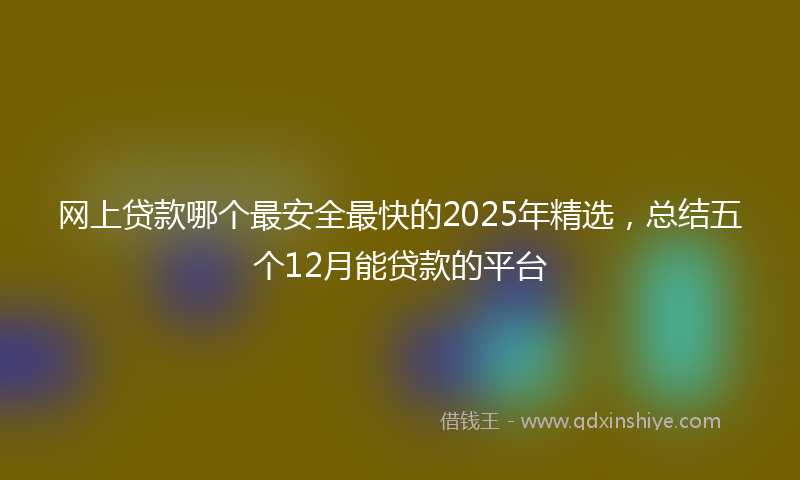 网上贷款哪个最安全最快的2025年精选，总结五个12月能贷款的平台