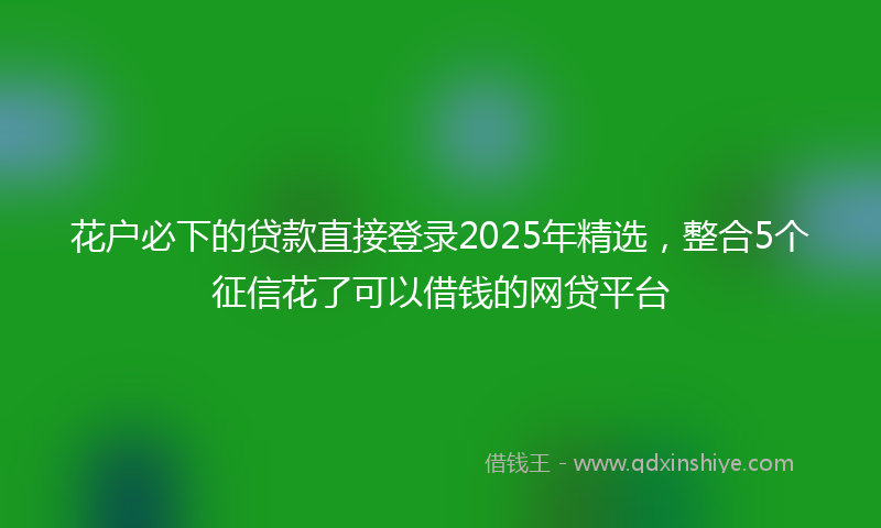花户必下的贷款直接登录2025年精选,整合5个征信花了可以借钱的网贷平台
