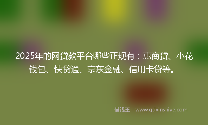 2025年的网贷款平台哪些正规有：惠商贷、小花钱包、快贷通、京东金融、信用卡贷等。