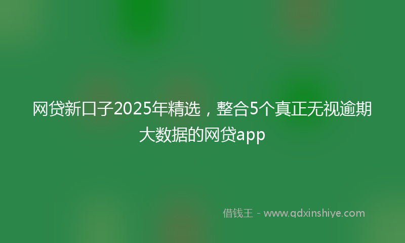 网贷新口子2025年精选，整合5个真正无视逾期大数据的网贷app