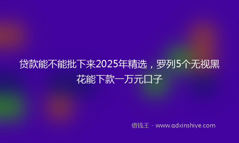 贷款能不能批下来2025年精选，罗列5个无视黑花能下款一万元口子